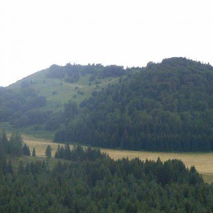Découvrez les sentiers de randonnées en Auvergne