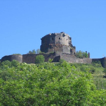 ᐃ LES FOUGERES ***