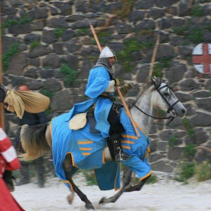 ᐃ LES FOUGERES ***